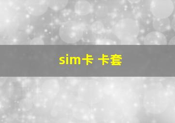 sim卡 卡套